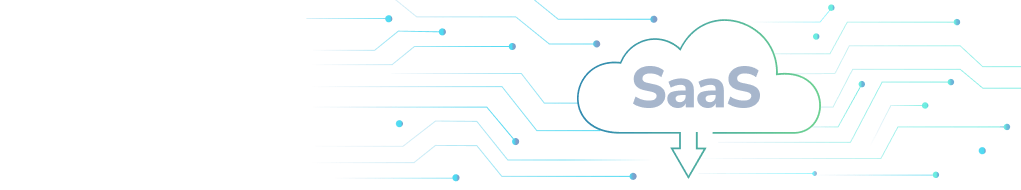 SaaS / PayS Model feature